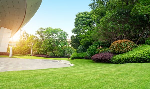 Commercial Shrub Trimming in Sun Prairie