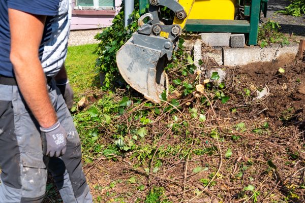 Hedge Removal Service in Sun Prairie