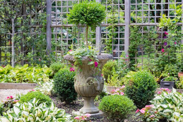 Topiary Pruning in Sun Prairie