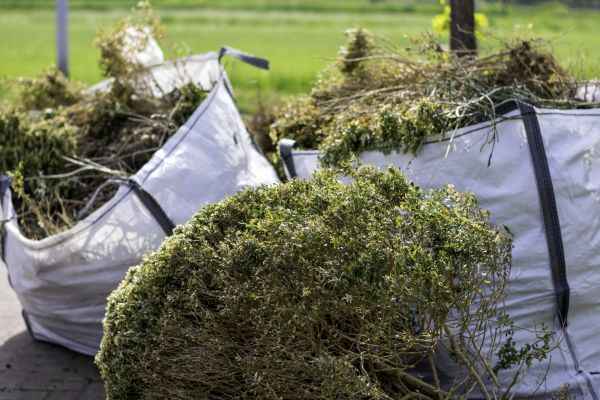 Cost of Shrubs Removal in Sun Prairie