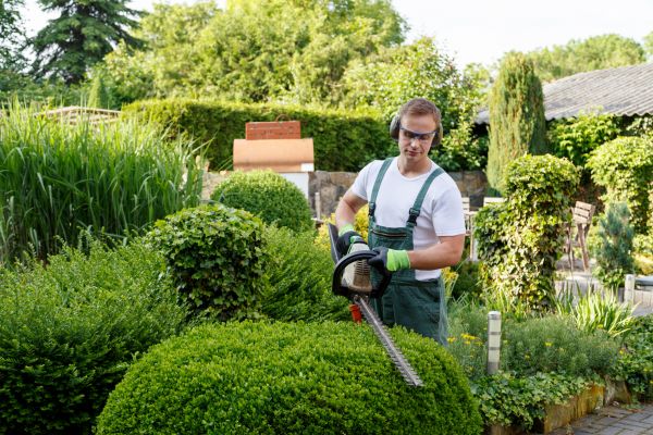 Shrubs Trimming in Sun Prairie