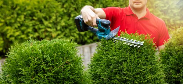Hedge Shaping Service in Sun Prairie