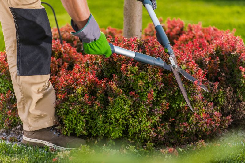 Shrub Maintenance Equipment